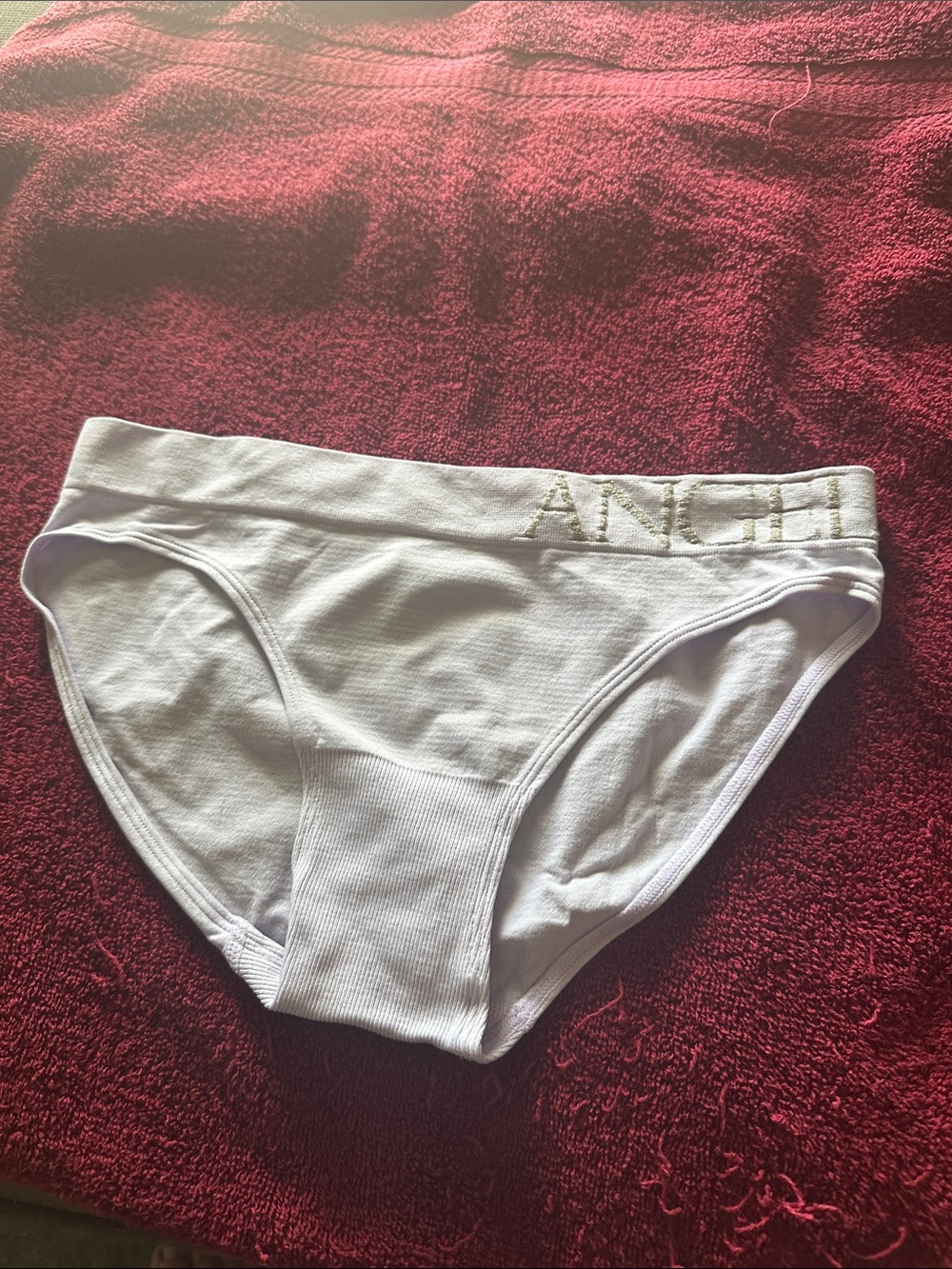 NWOT Victoria's Secret Lilac & White 'Angel' Striped Cotton Bikini Panty